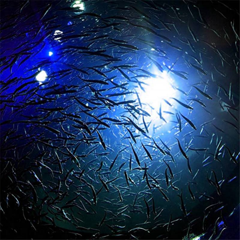 Мини-лампа для привлечения рыб – обзор и цена Fishing Boat Navigation Light